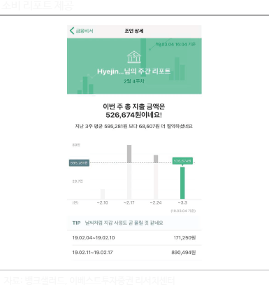 소비 리포트 제공