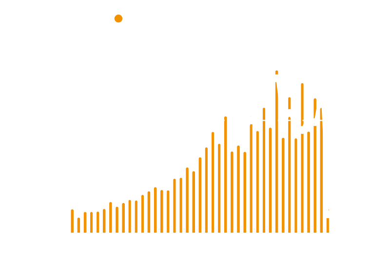 중국 분기별 B/O 시장 & YoY 전망